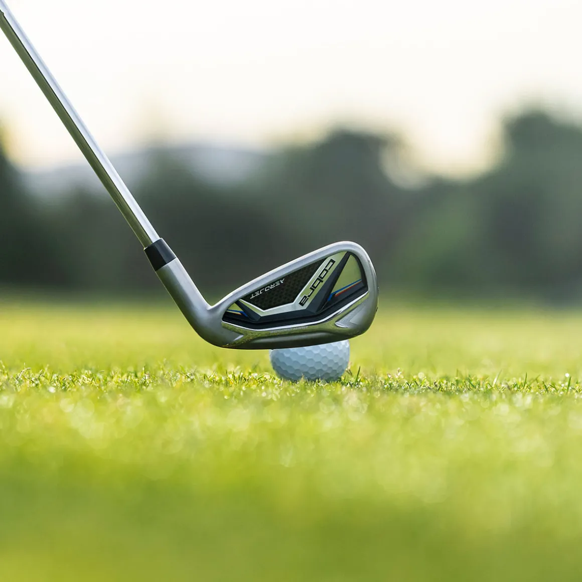 cobra_aerojet_steel_golf__9.webp COBRA AeroJet Steel Golf Irons